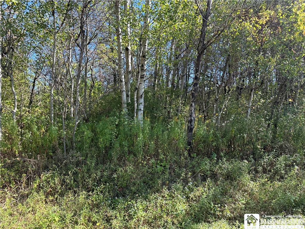 Prill Road West Valley, NY 14171 - Photo 4 of 8