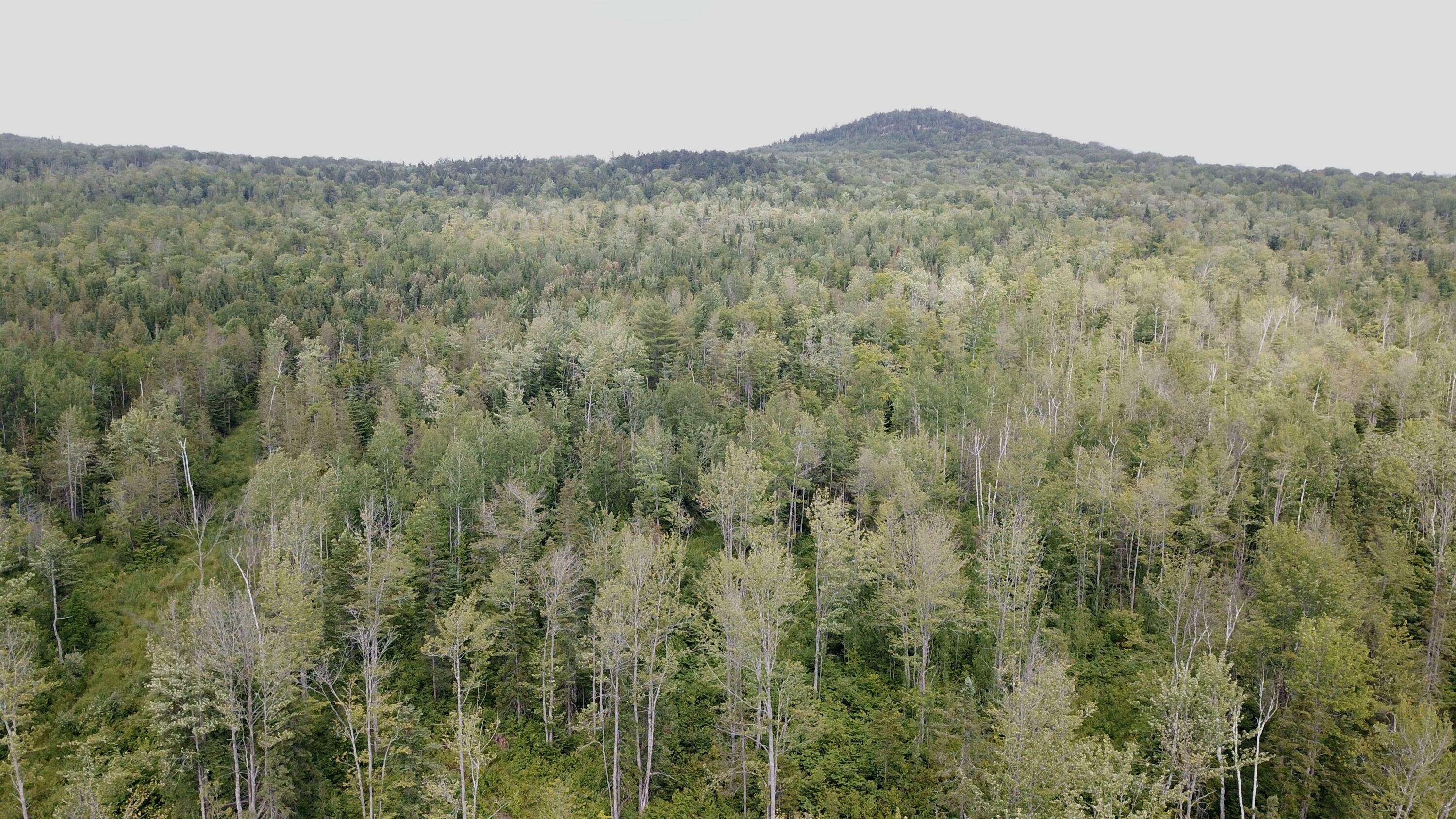 140 Mountain Road Presque Isle, ME 04769 - Photo 9 of 10 DJI_0541