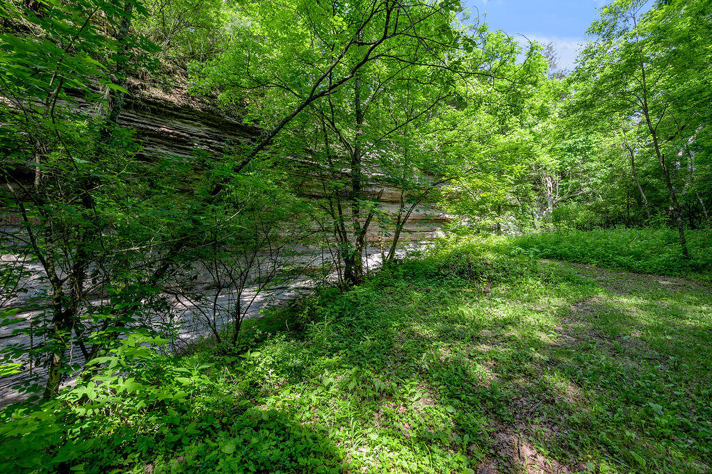 780 Stoney Run Road Richmond, KY 40475 - Photo 22 of 25 TDB_1377
