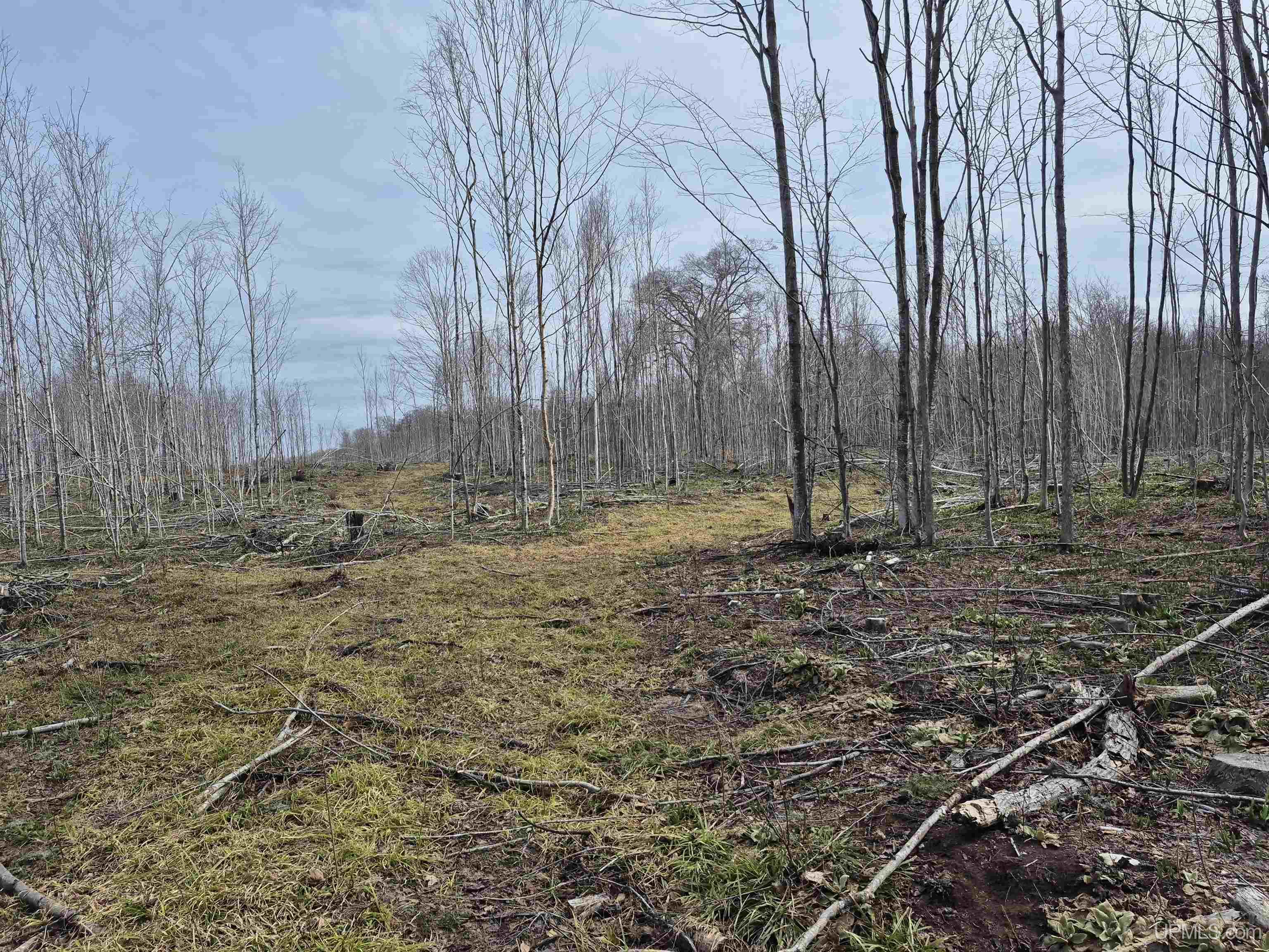 East 20 Quarry Road Gulliver, MI 49840 - Photo 17 of 47