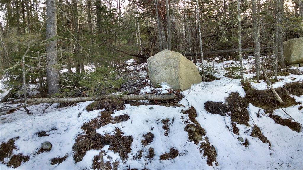 Lot 4 White Orchard Road Frankfort, ME 04438 - Photo 3 of 9 Photo