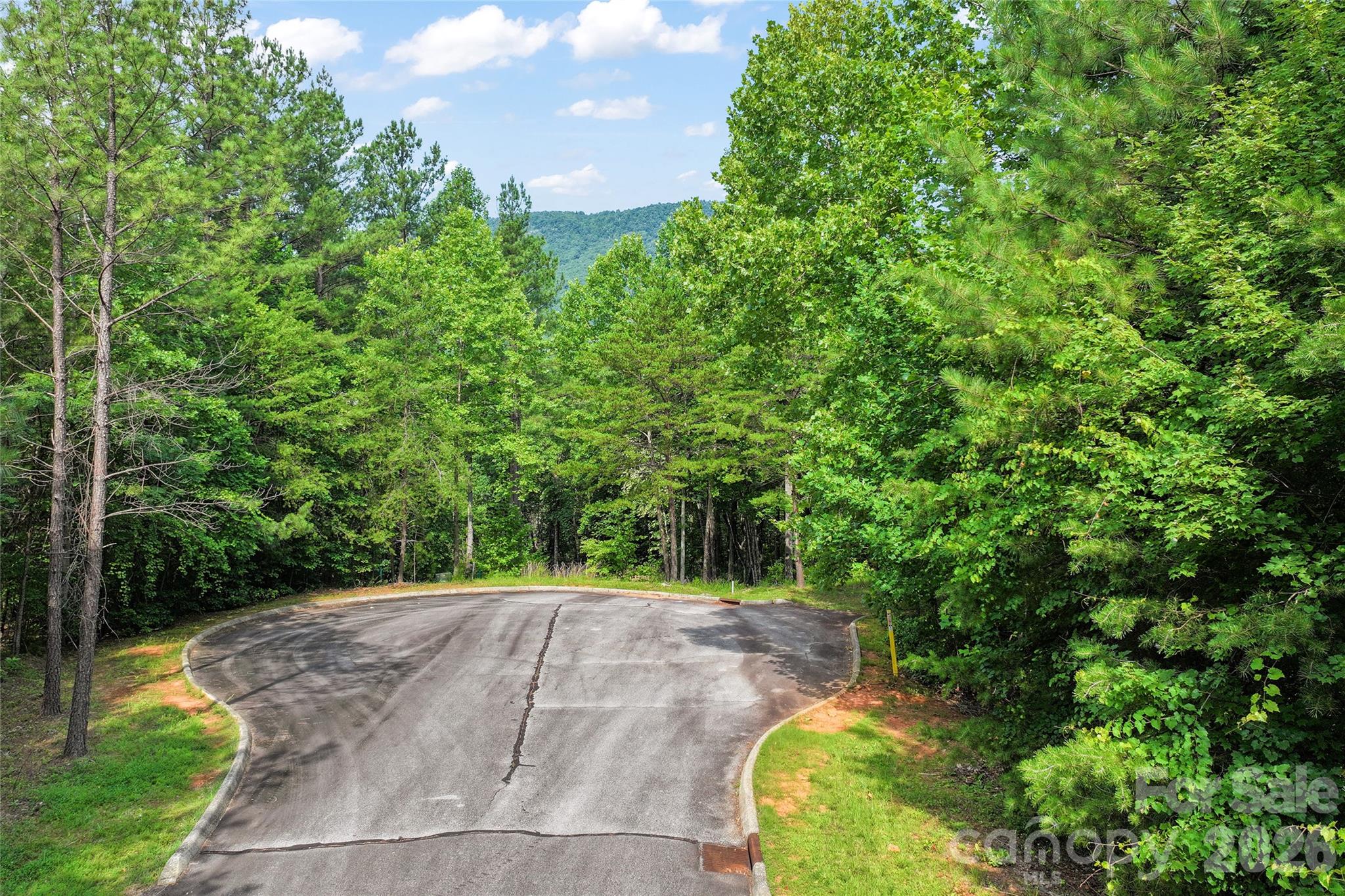 Lot 24 Monteith Pl Mill Spring Mill Spring, NC 28756 - Photo 4 of 24