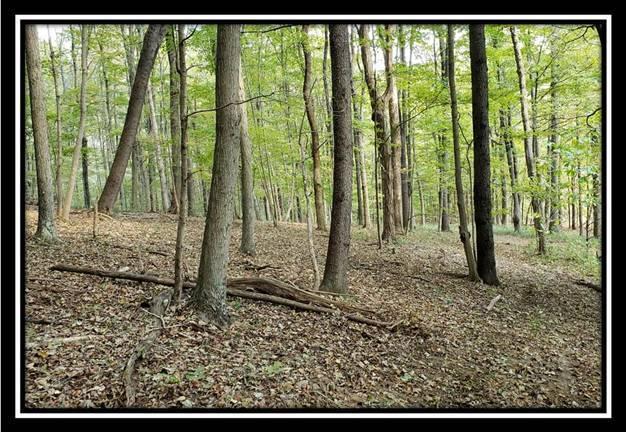 2111 Spud Run Road Chillicothe, OH 45601 - Photo 20 of 50 Gallery Image 20