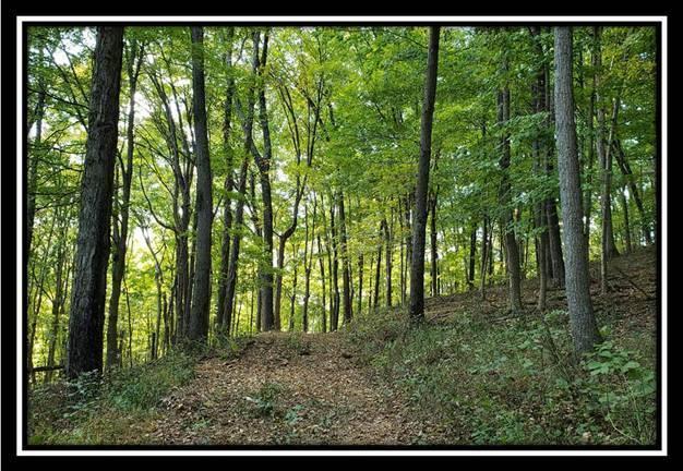 2111 Spud Run Road Chillicothe, OH 45601 - Photo 23 of 50 Gallery Image 23