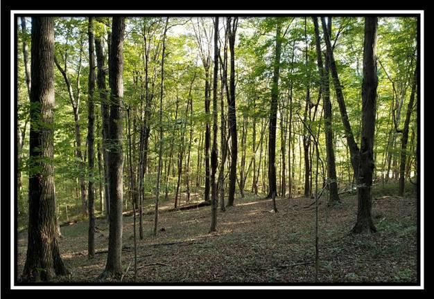 2111 Spud Run Road Chillicothe, OH 45601 - Photo 3 of 50 Gallery Image 3