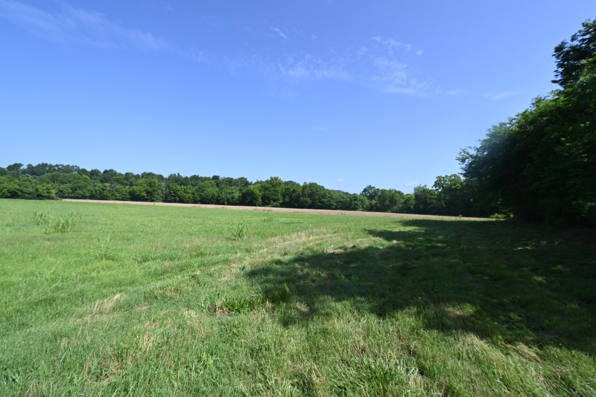 0 Culps Bend Road Clifton, TN 38425 - Photo 24 of 41