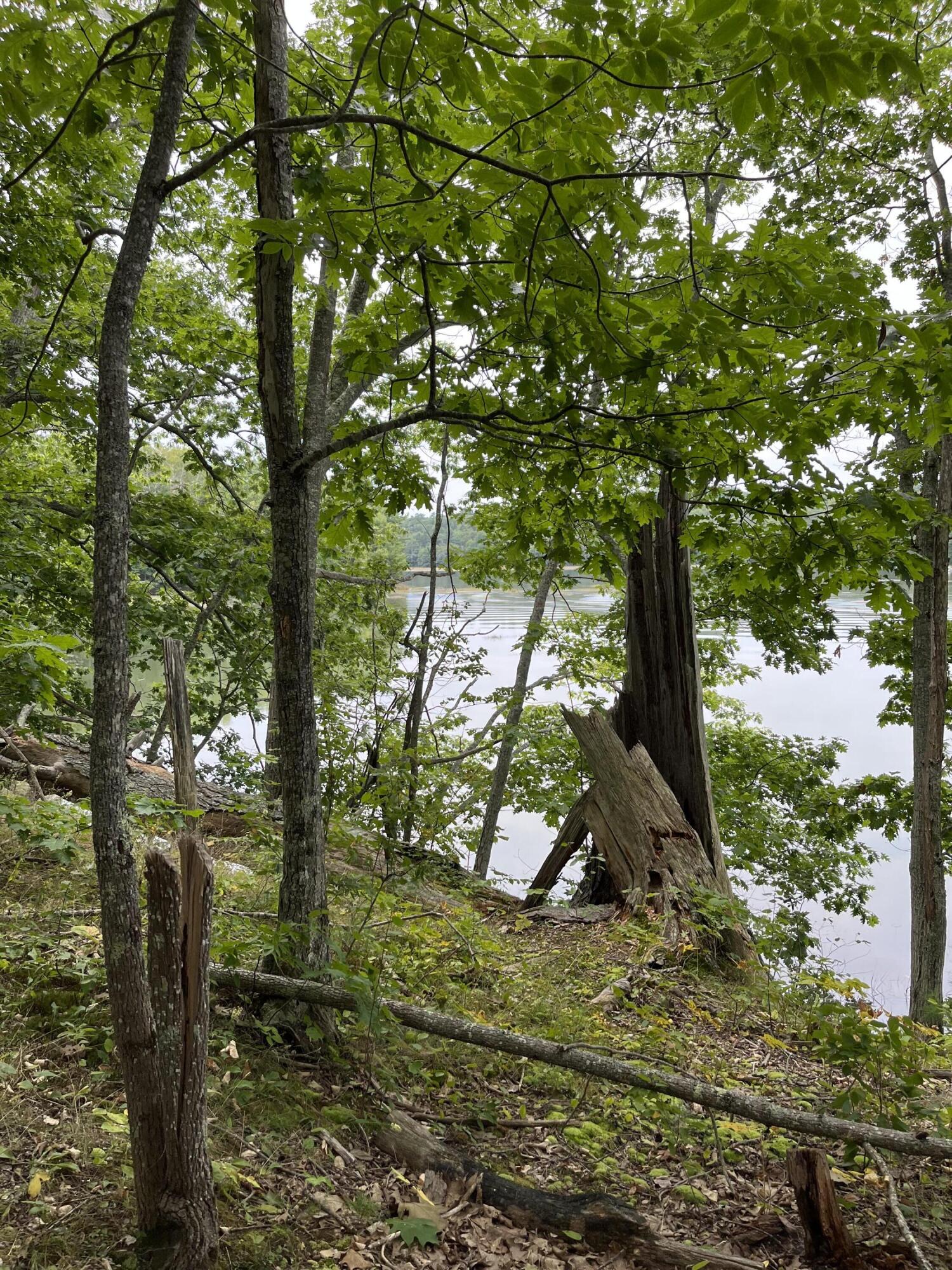 265 Friendship Road Waldoboro, ME 04572 - Photo 4 of 5