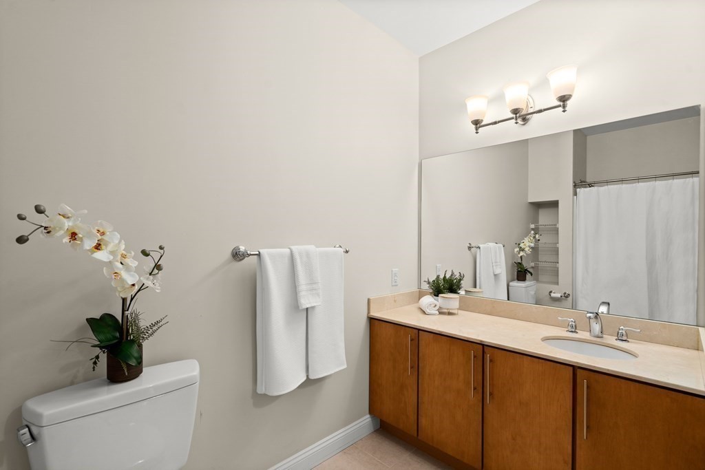 35 Commonwealth Avenue, Unit 103 Newton, MA 02467 - Photo 14 of 23 a bathroom with a sink a potted plant and a mirror