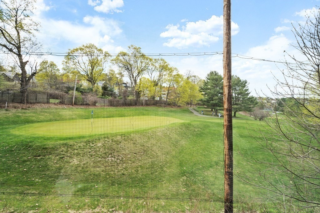35 Commonwealth Avenue, Unit 103 Newton, MA 02467 - Photo 15 of 23 a view of a field with a tree