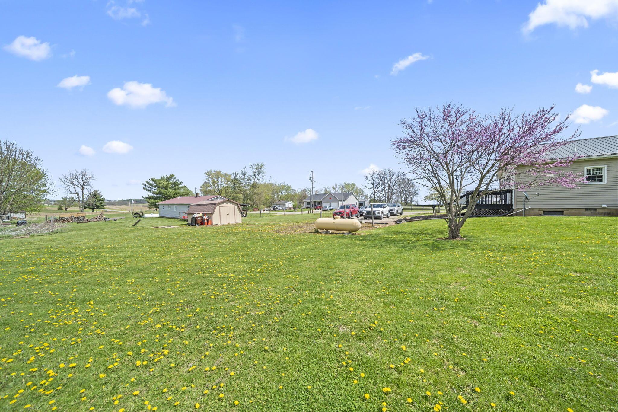 29521 Kime-Holderman Road Circleville, OH 43113 - Photo 44 of 58 Back Yard