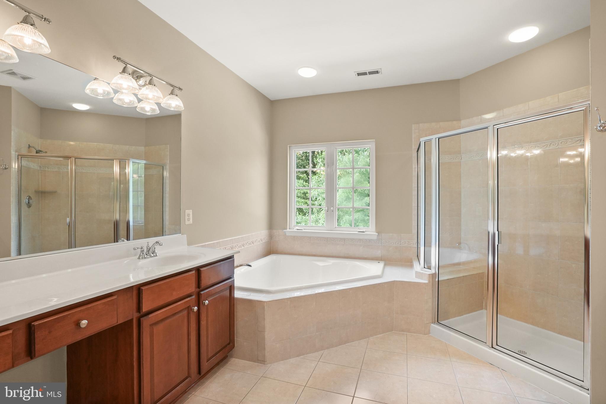 43616 Carradoc Farm Terrace Leesburg, VA 20176 - Photo 34 of 63 a spacious bathroom with a large tub shower and sink