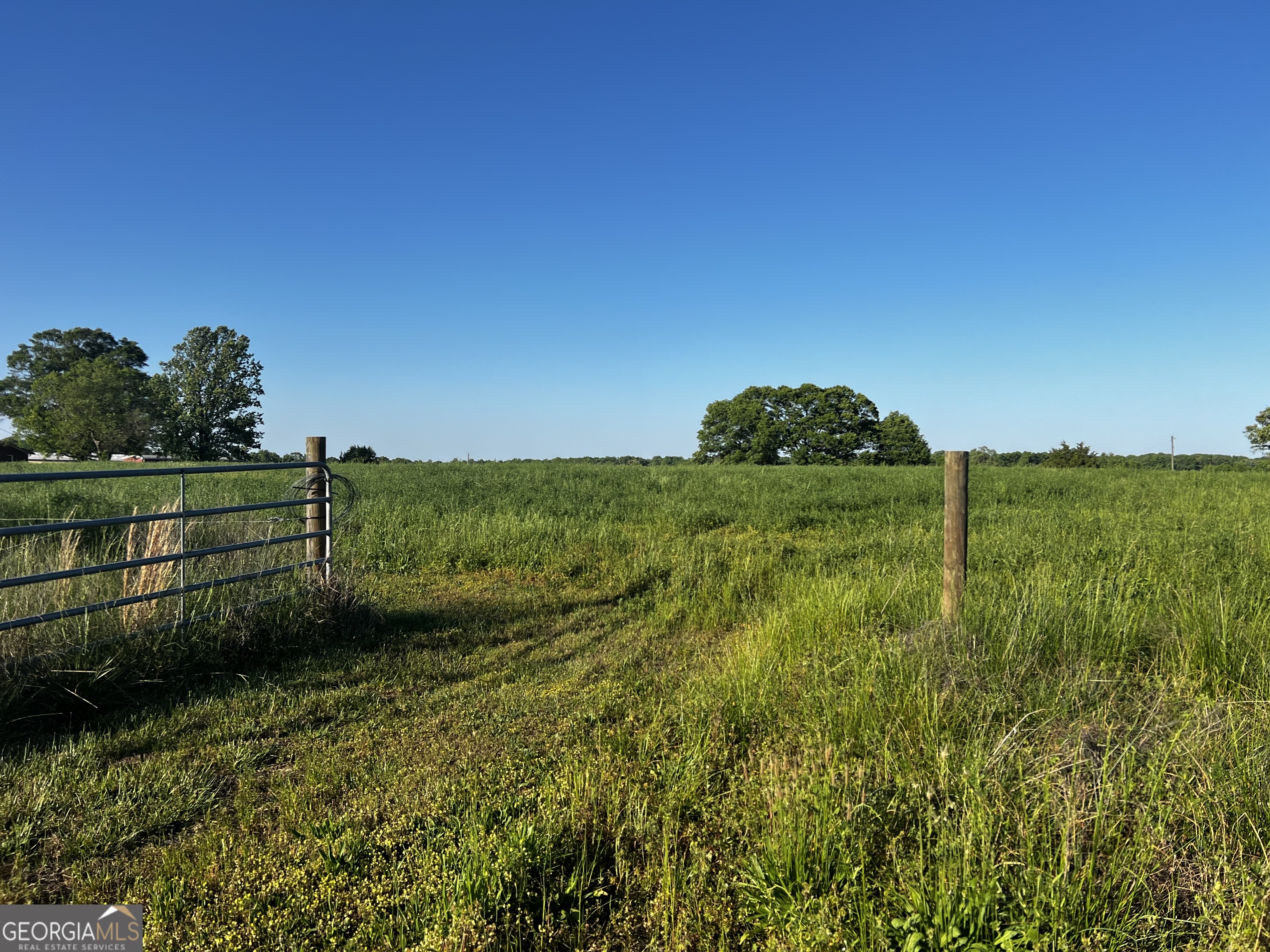 0 Bethany Bowersville Road Canon, GA 30516 - Photo 4 of 9