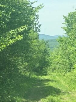 0 North Stewart Road Northeast Moscow, ME 04920 - Photo 63 of 68 39