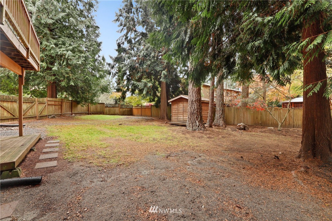 3305 199th Place Southeast Bothell, WA 98012 - Photo 29 of 39 a view of backyard with tree