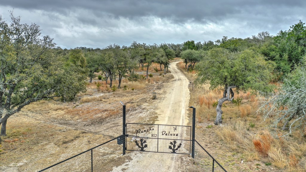 812 Byas Springs Road Mountain Home, TX 78058 - Photo 2 of 56