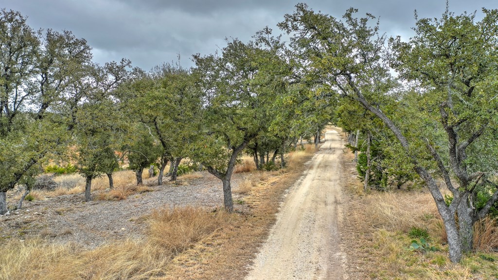 812 Byas Springs Road Mountain Home, TX 78058 - Photo 42 of 56