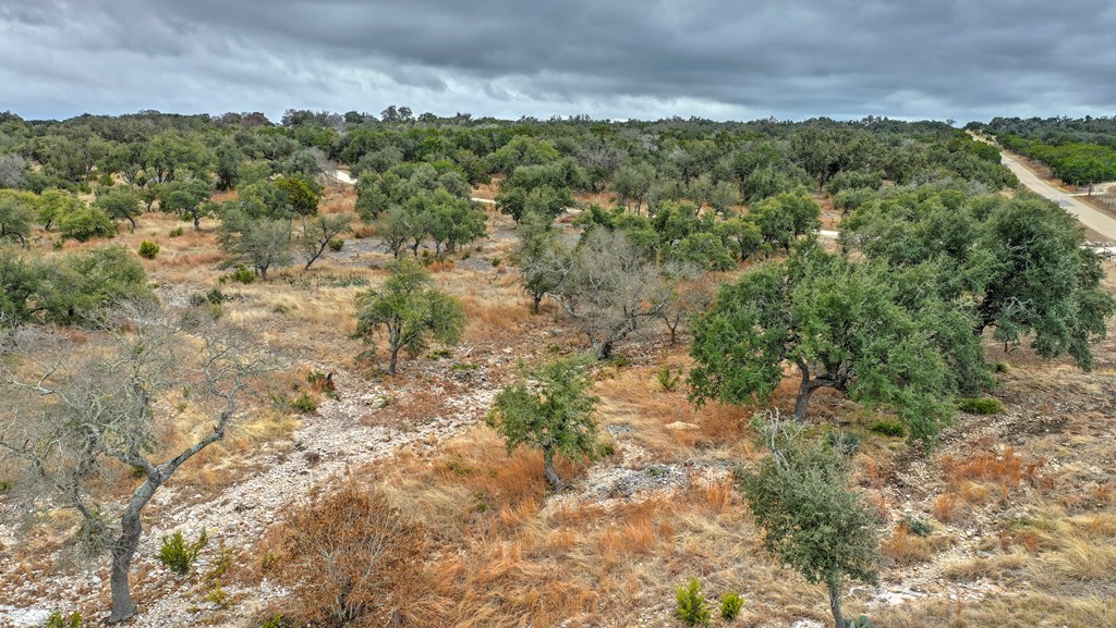812 Byas Springs Road Mountain Home, TX 78058 - Photo 44 of 56