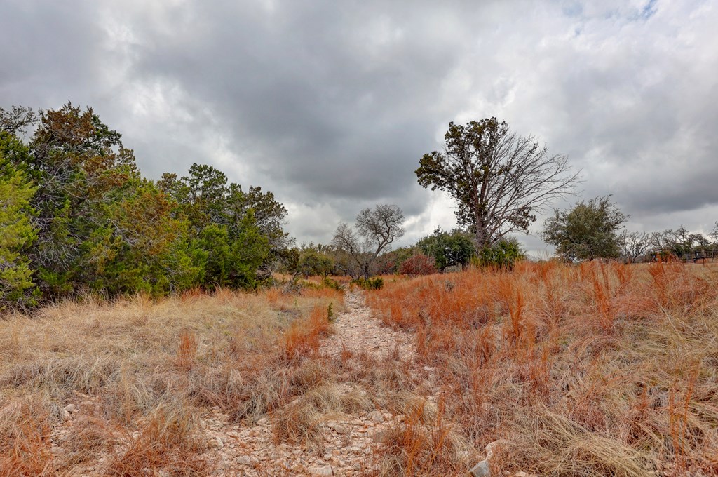 812 Byas Springs Road Mountain Home, TX 78058 - Photo 46 of 56