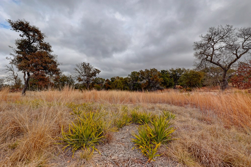 812 Byas Springs Road Mountain Home, TX 78058 - Photo 47 of 56
