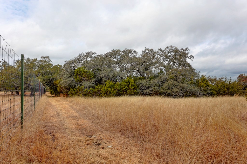 812 Byas Springs Road Mountain Home, TX 78058 - Photo 52 of 56