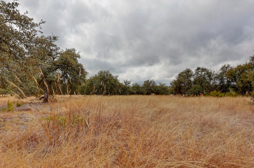 812 Byas Springs Road Mountain Home, TX 78058 - Photo 56 of 56