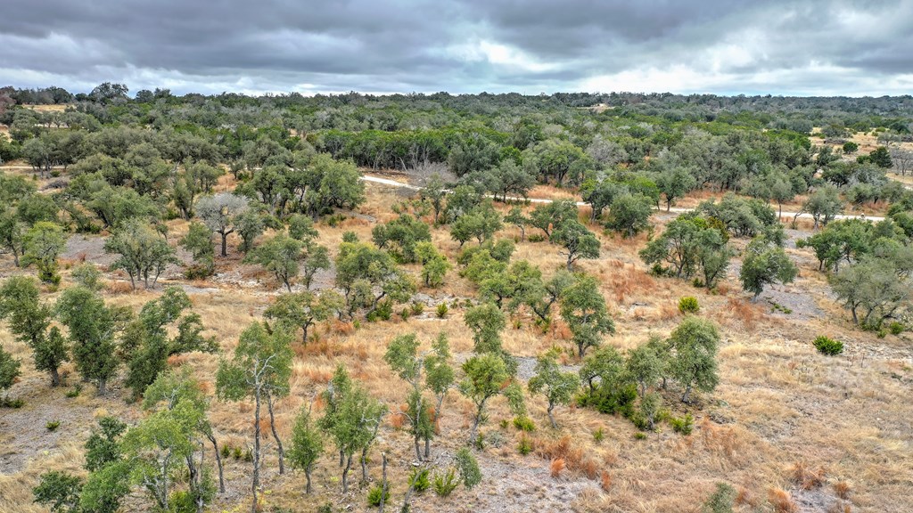 812 Byas Springs Road Mountain Home, TX 78058 - Photo 6 of 56