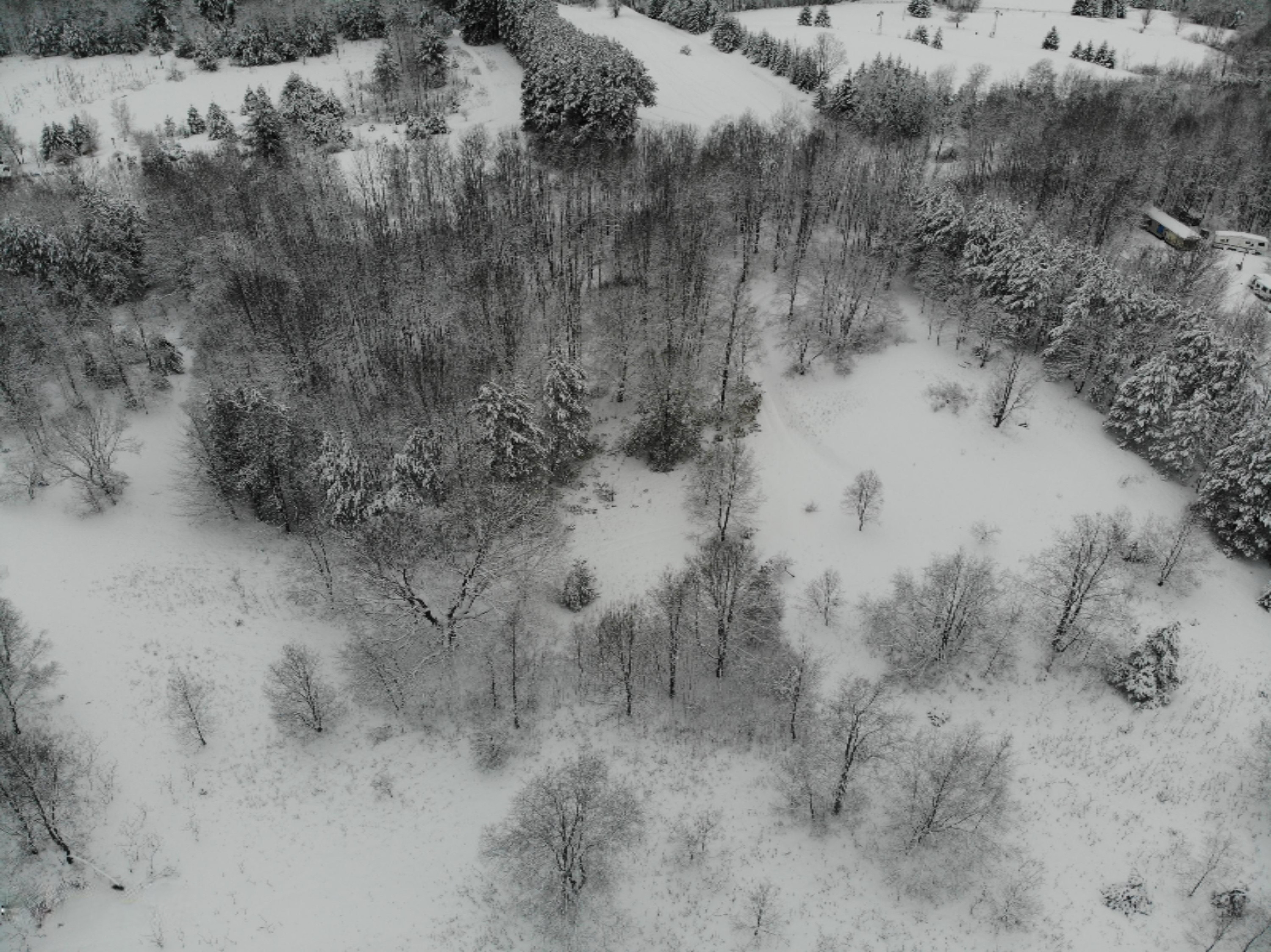 DJI_0646