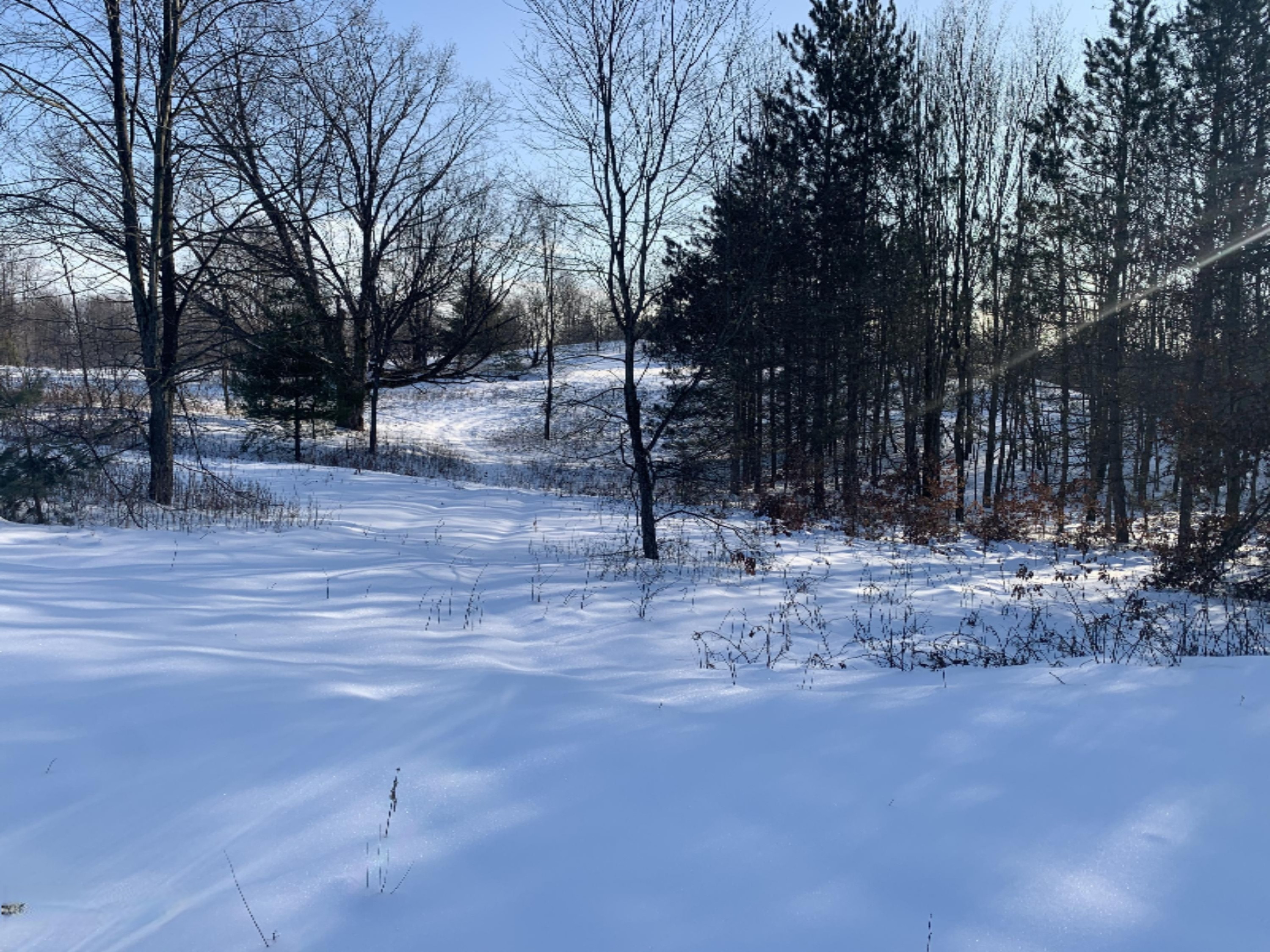 19 19 Mile Road Tustin, MI 49688 - Photo 17 of 30 IMG_0661
