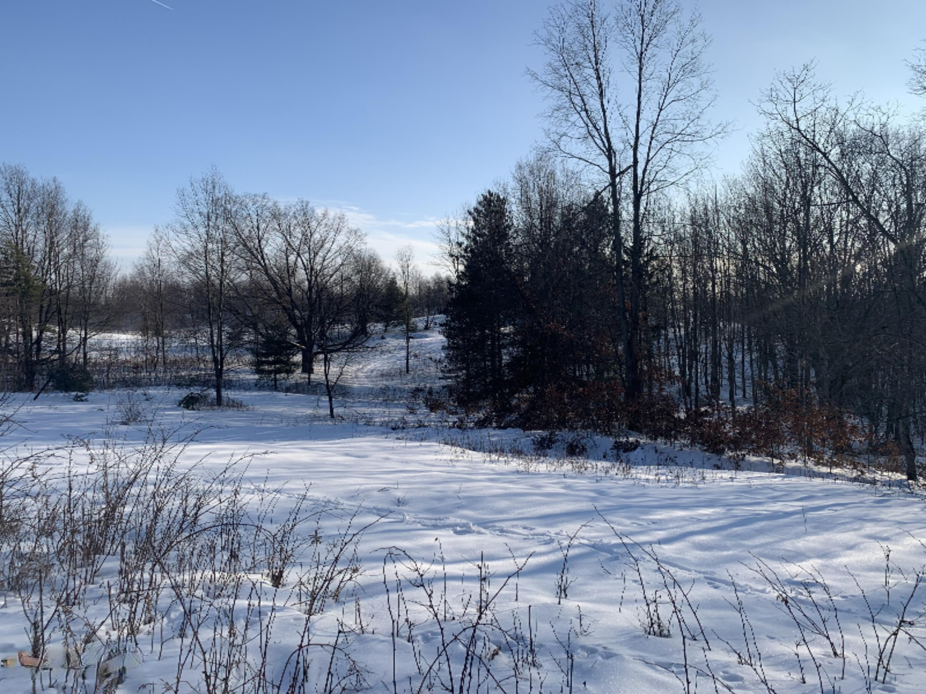 19 19 Mile Road Tustin, MI 49688 - Photo 19 of 30 IMG_0670