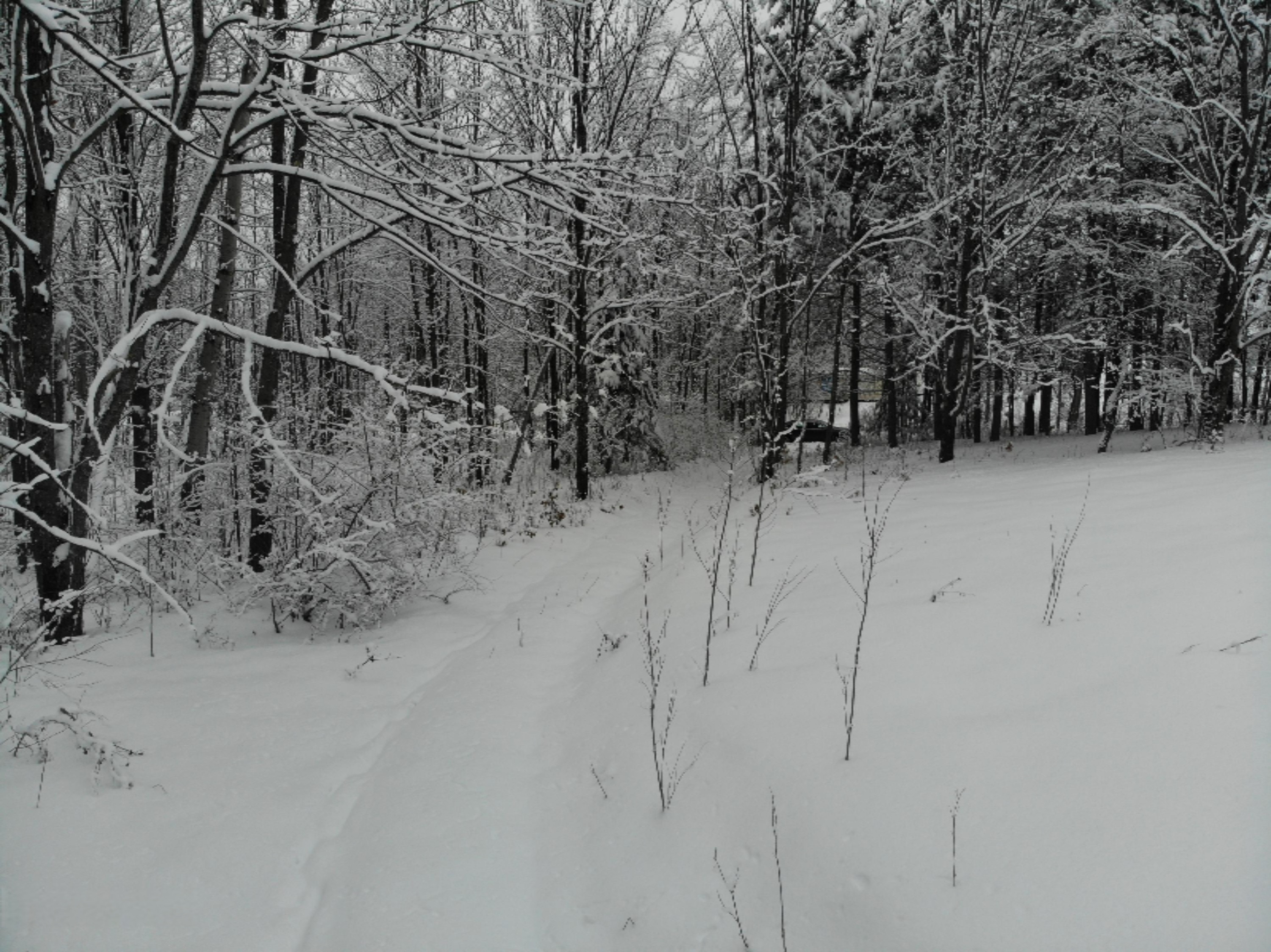 19 19 Mile Road Tustin, MI 49688 - Photo 30 of 30 DJI_0653