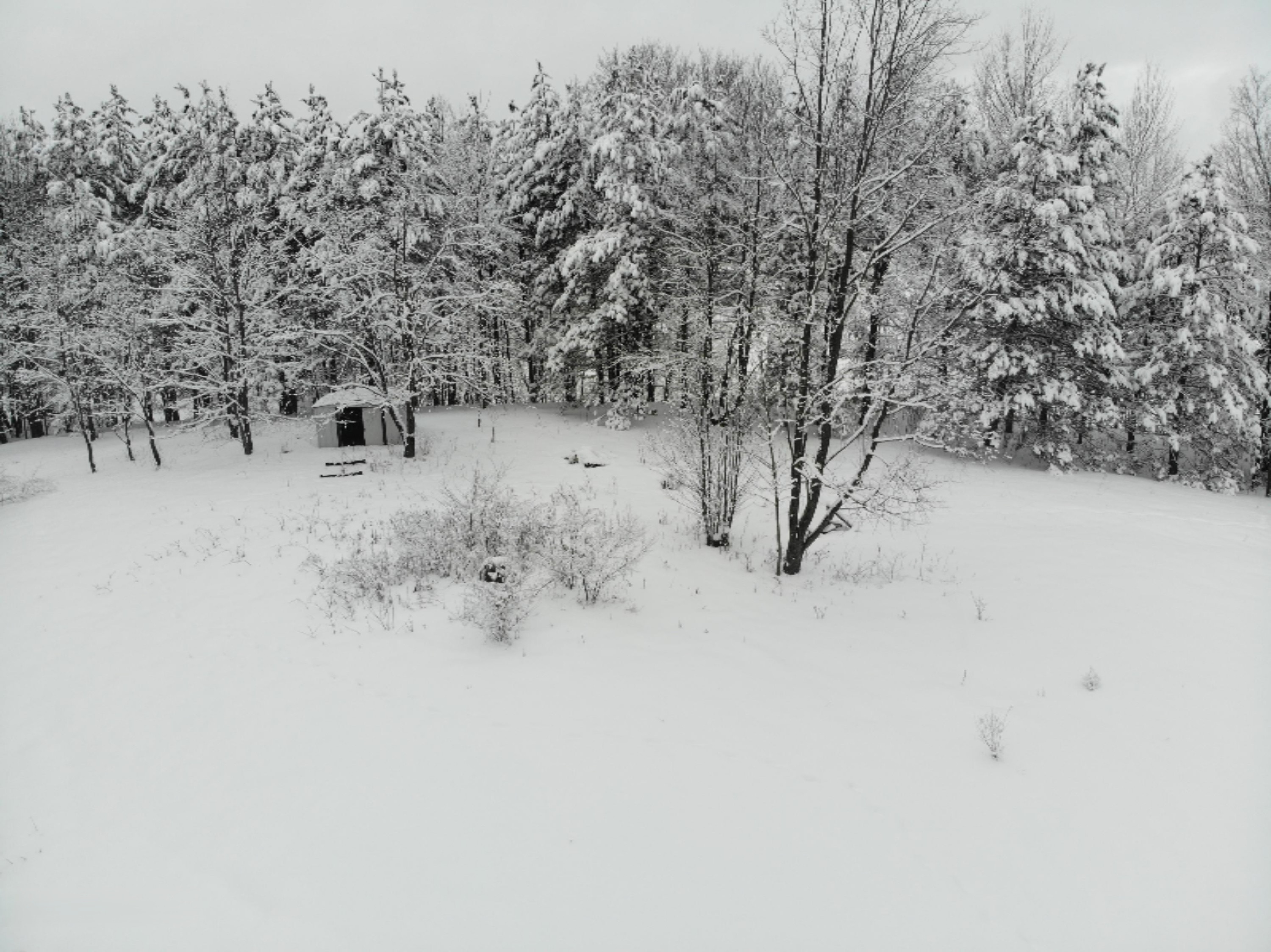 19 19 Mile Road Tustin, MI 49688 - Photo 3 of 30 DJI_0650