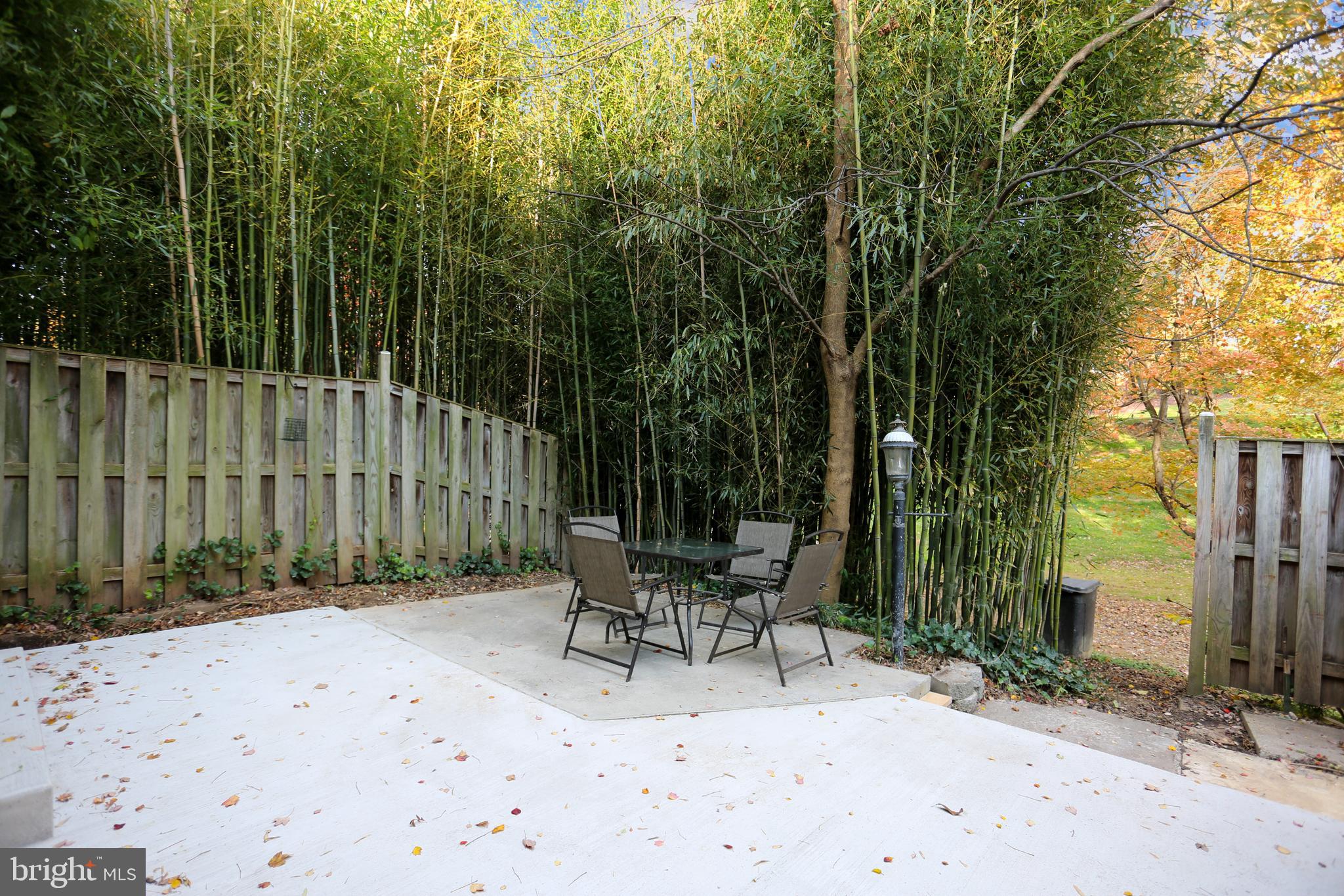 44 Oak Shade Road Gaithersburg, MD 20878 - Photo 35 of 41 Private patio with bamboo "fence"