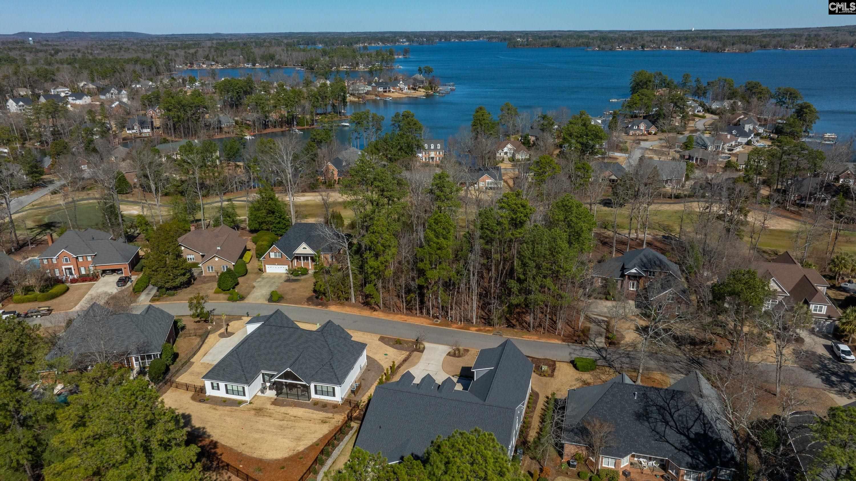 329 Oxenbridge Way Chapin, SC 29036 - Photo 8 of 29