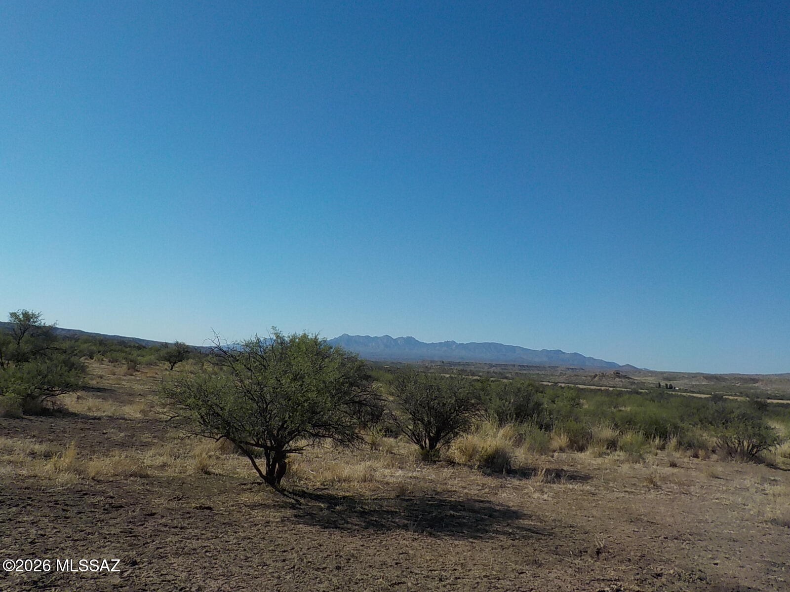 44.23-ac West Grey Bear Road, Unit 100 Willcox, AZ 85643 - Photo 12 of 23 DSCN1252