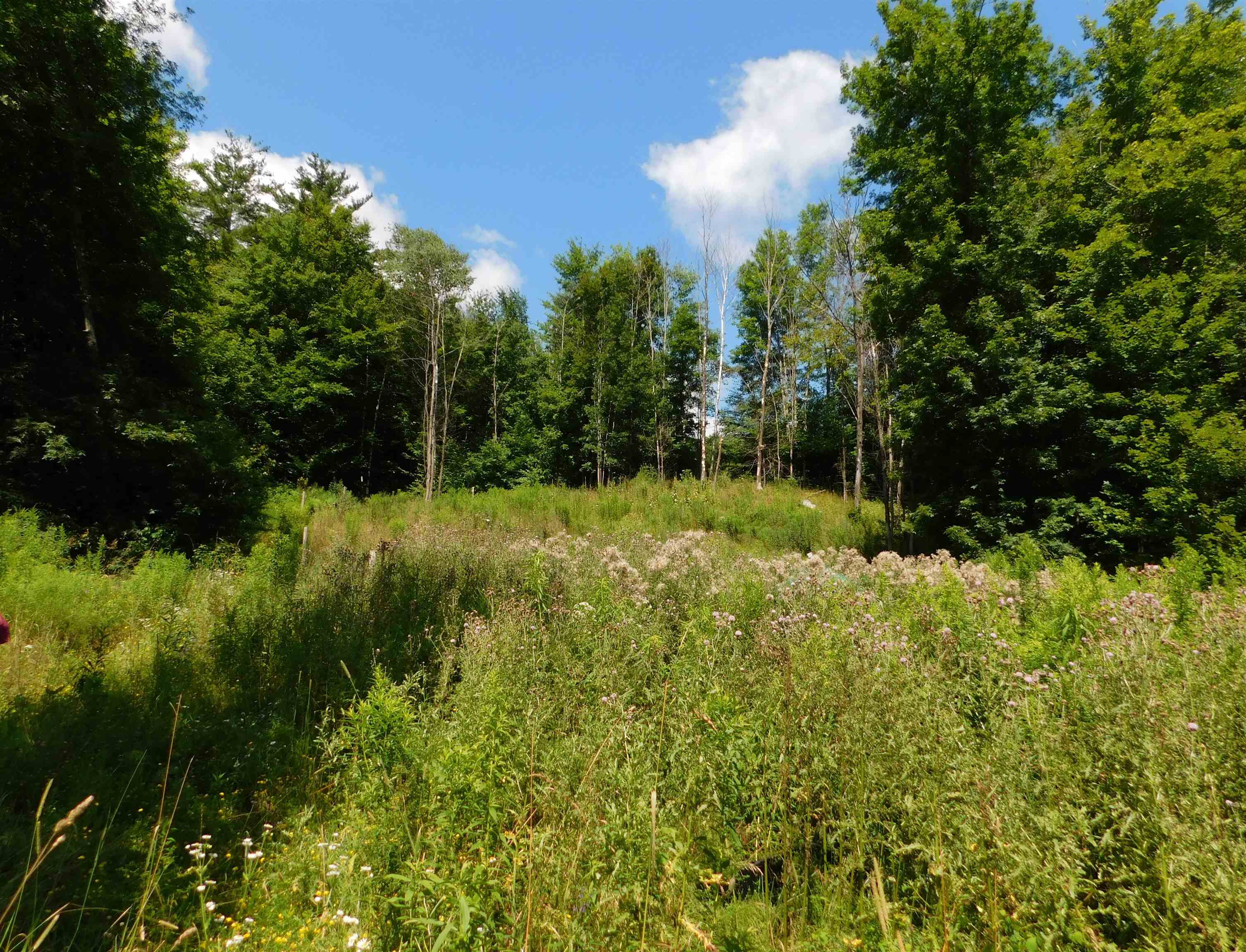 2009 Creek Road Clarendon, VT 05759 - Photo 5 of 5 Gallery Image 5