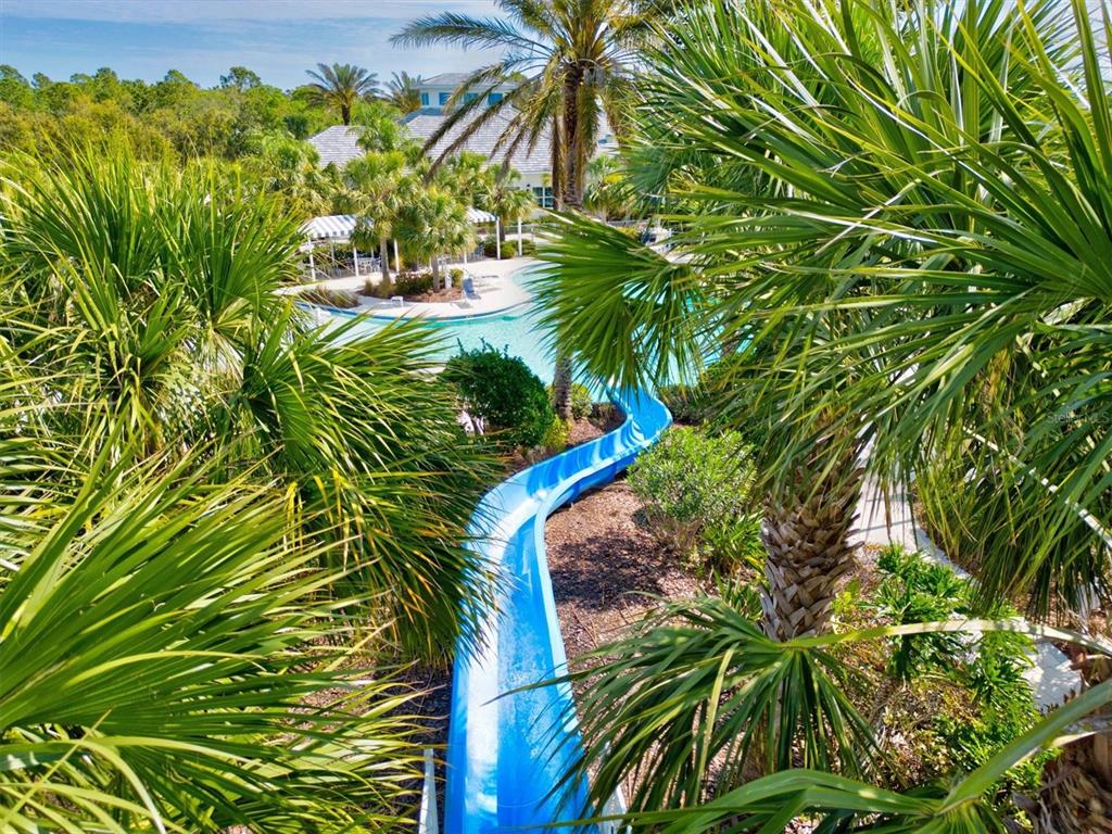 11610 Marathon Circle Venice, FL 34293 - Photo 55 of 84 a view of a plant in a garden