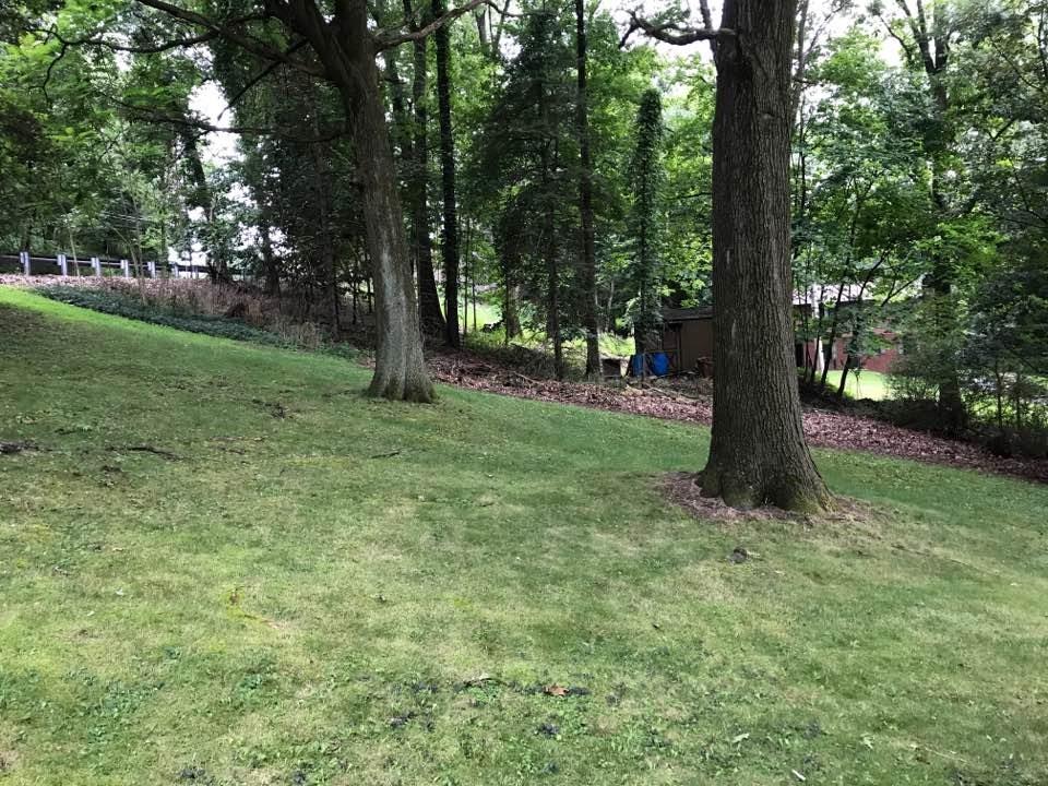 529 Thompson Run Road Pittsburgh, PA 15237 - Photo 15 of 16