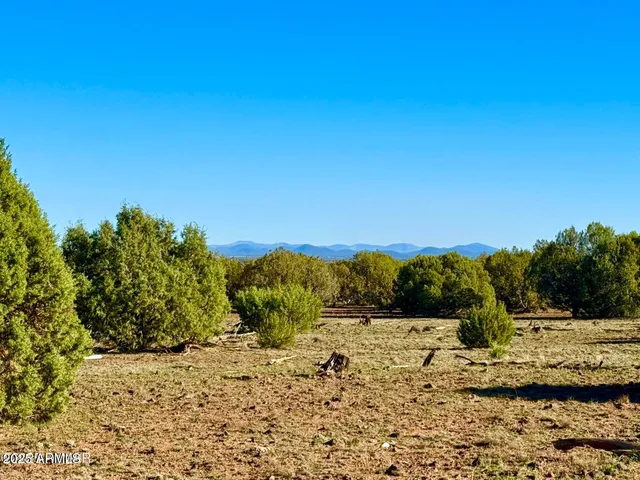 $59,000 | Tbd Tbd Mustang Lane, Show Low, AZ 85901