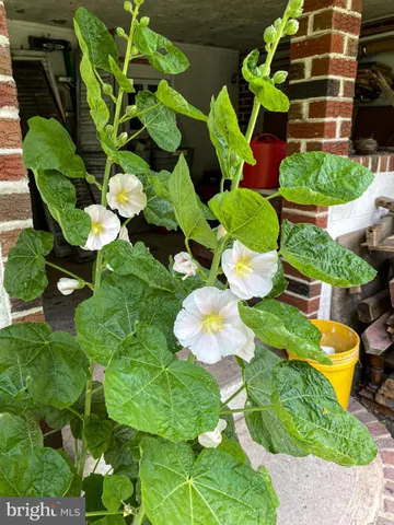 $159,900 | 176 Roosevelt Drive, Mahanoy City, PA 17948