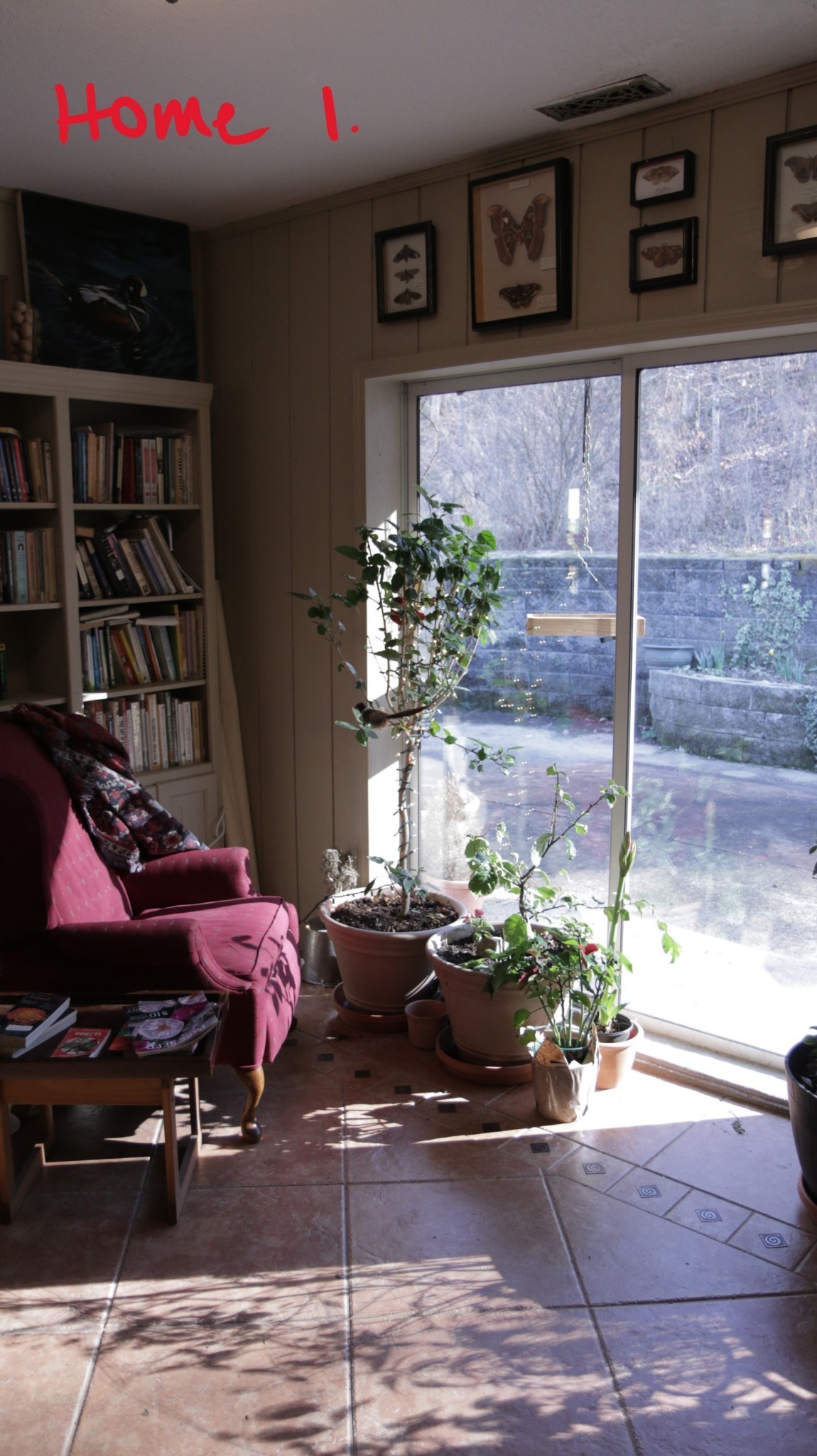 168 Three Springs Road Nunnelly, TN 37137 - Photo 14 of 65 Gallery Image 14