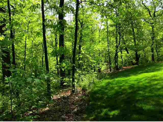 129 West Windflower Way Dunlap, IL 61525 - Photo 15 of 15 Gallery Image 15