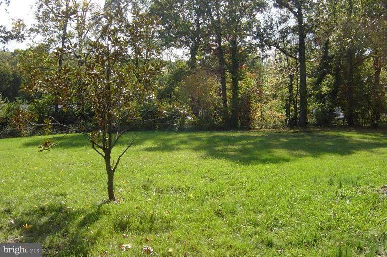 7206 Tanager Street Springfield, VA 22150 - Photo 4 of 8 Back yard