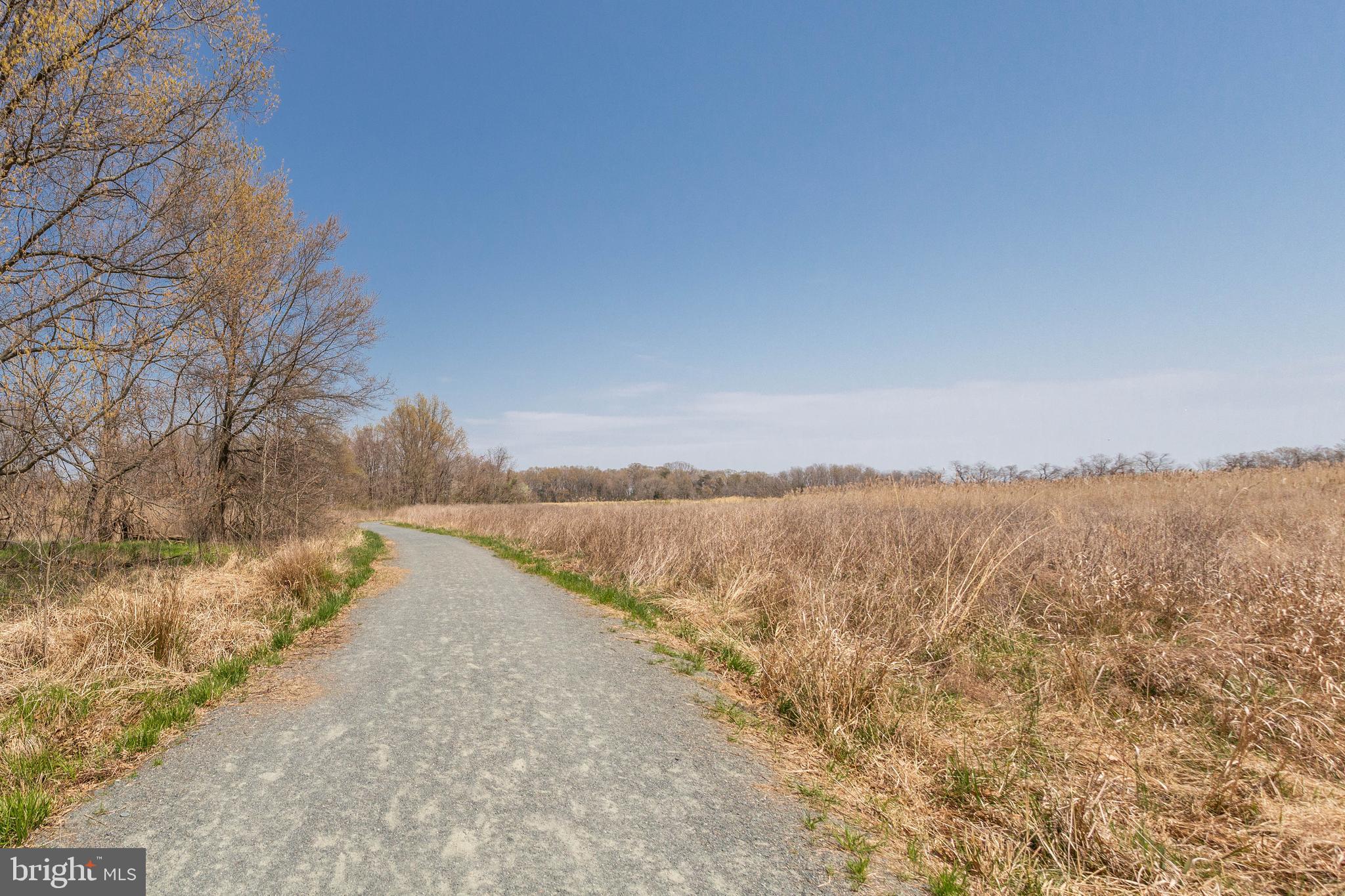 1561 Snug Harbor Road Shady Side, MD 20764 - Photo 48 of 52 Gallery Image 48