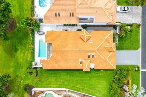 a view of a backyard with plants