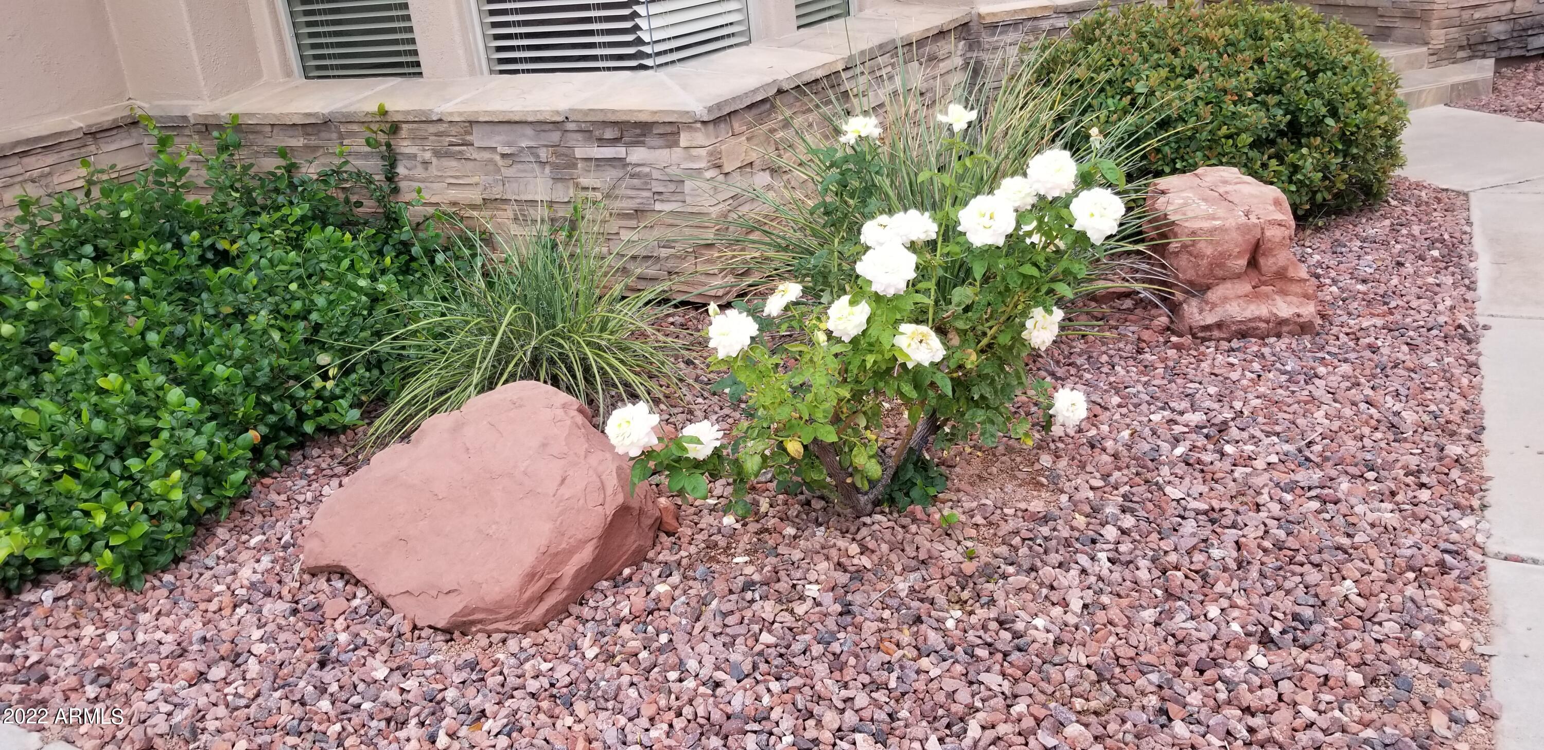 22 Heritage Circle Sedona, AZ 86351 - Photo 3 of 36 FrontYard_roses