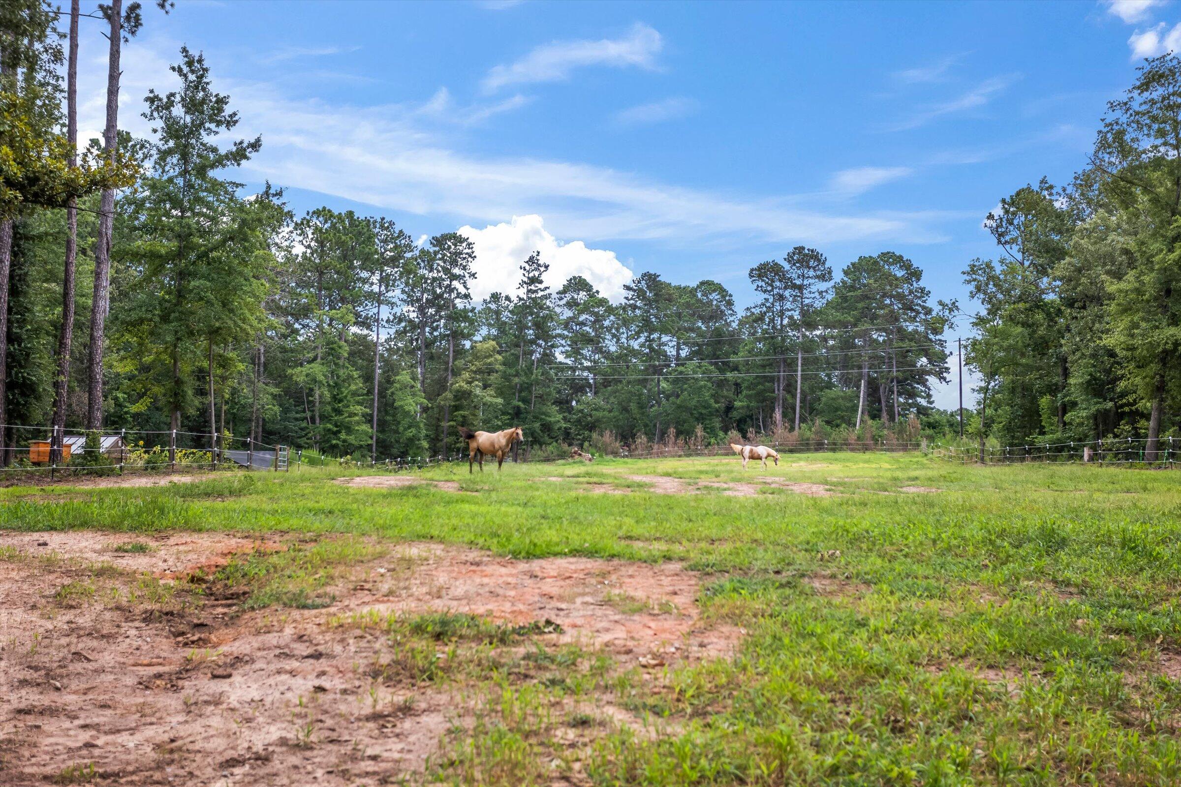 1061 Outaways Road Aiken, SC 29803 - Photo 46 of 67