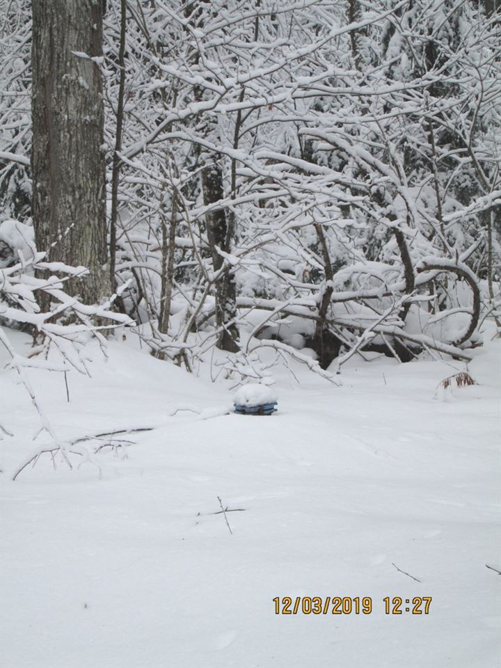 1800 Jackson Road Averill, VT 05901 - Photo 23 of 32