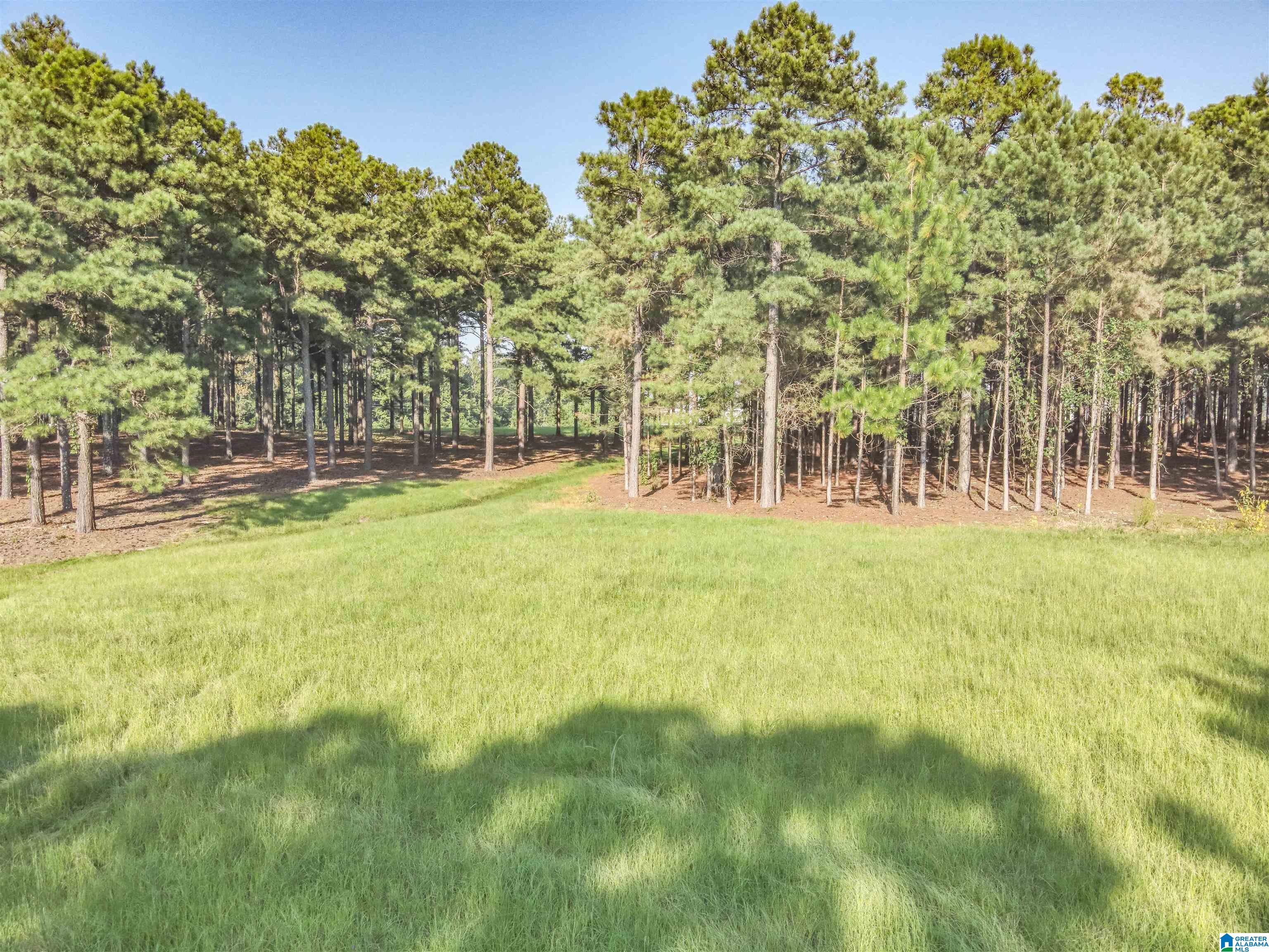 0 County Road 48, Unit 1 Jemison, AL 35085 - Photo 24 of 24