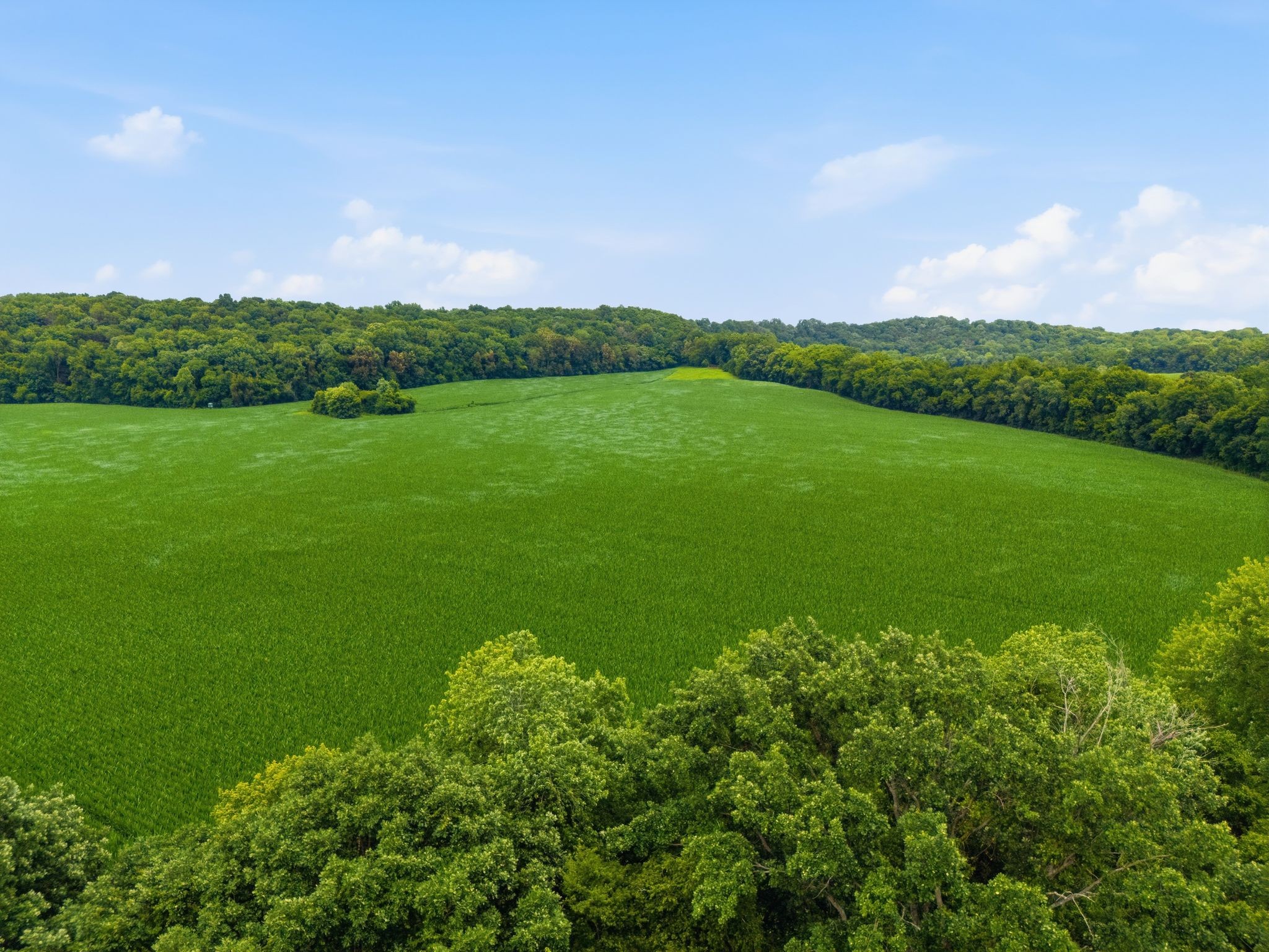 2214 Trieste Trail Adams, TN 37010 - Photo 89 of 89