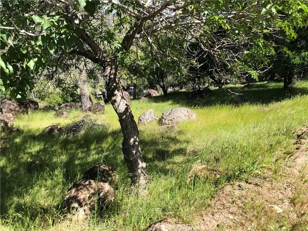 $24,000 | 13616 Anderson Road, Lower Lake, CA 95457